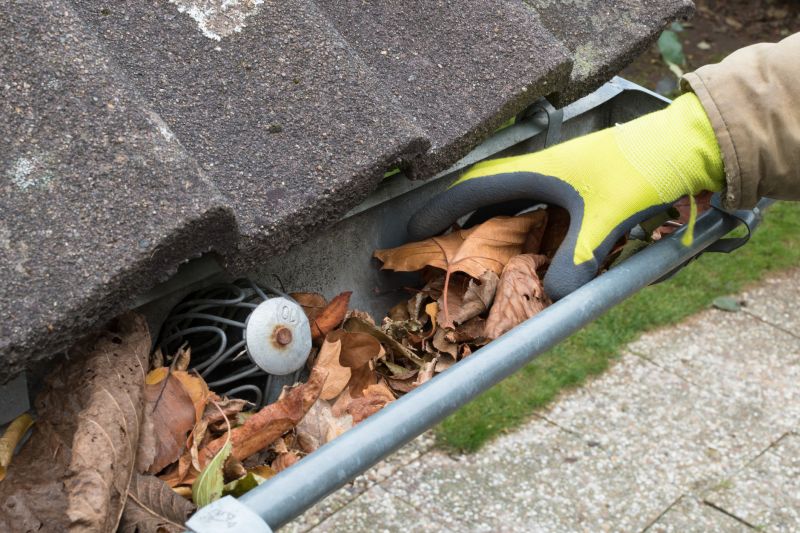 Cleaning Debris from Gutters